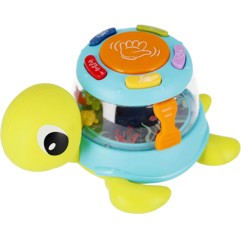 Série musicale « Magic Turtle » amusante