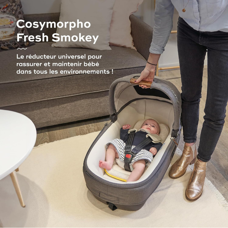 Babymoov Coussin Réducteur Cosymorpho Fresh