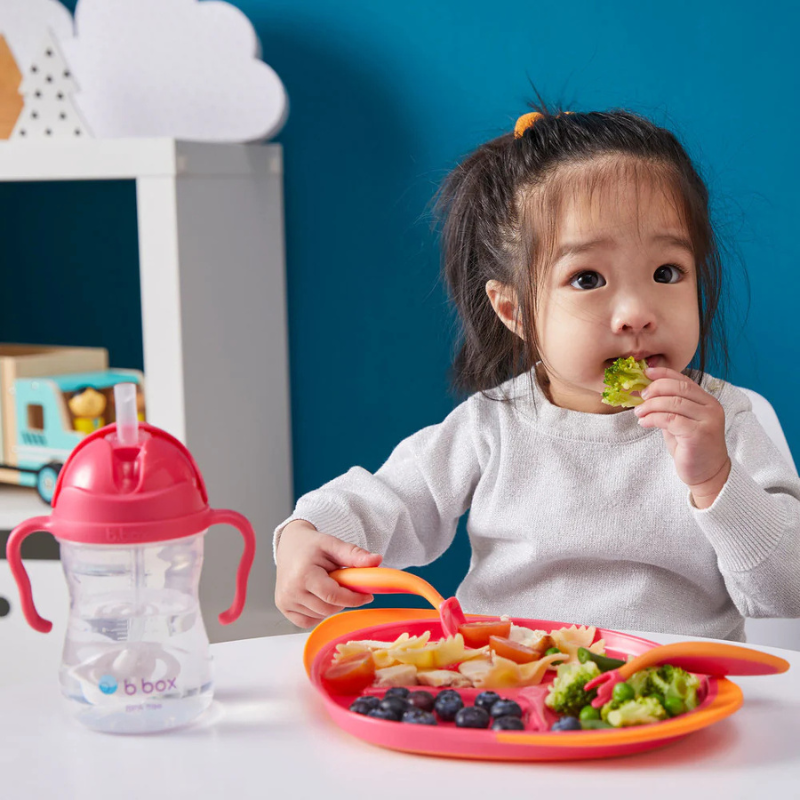 BBox ensemble d'alimentation - milk-shake à la fraise