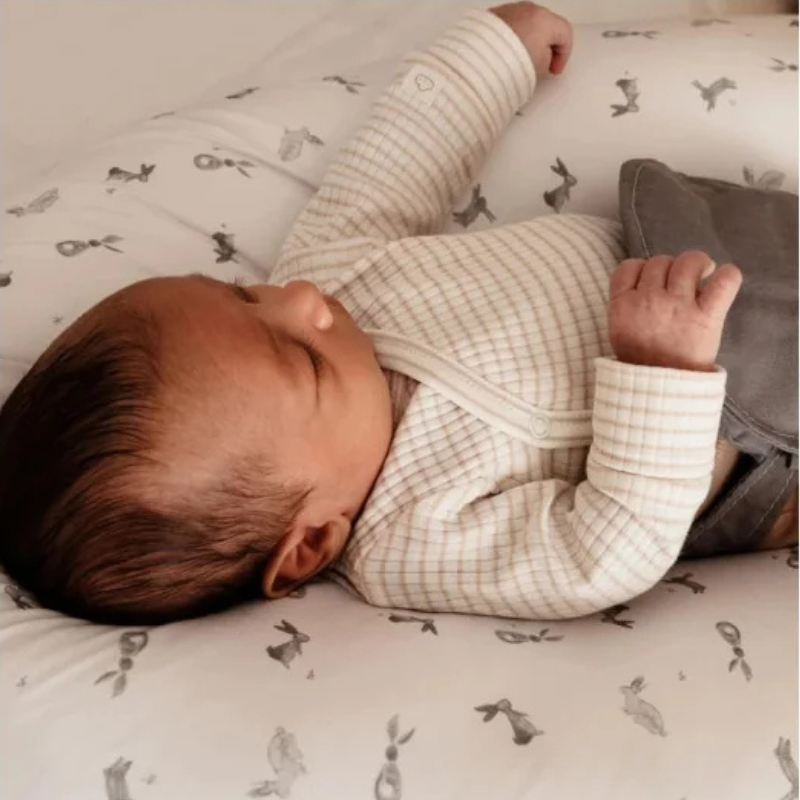 Candide Coussin Multirelax Jersey 3en1 - Coton Lapin