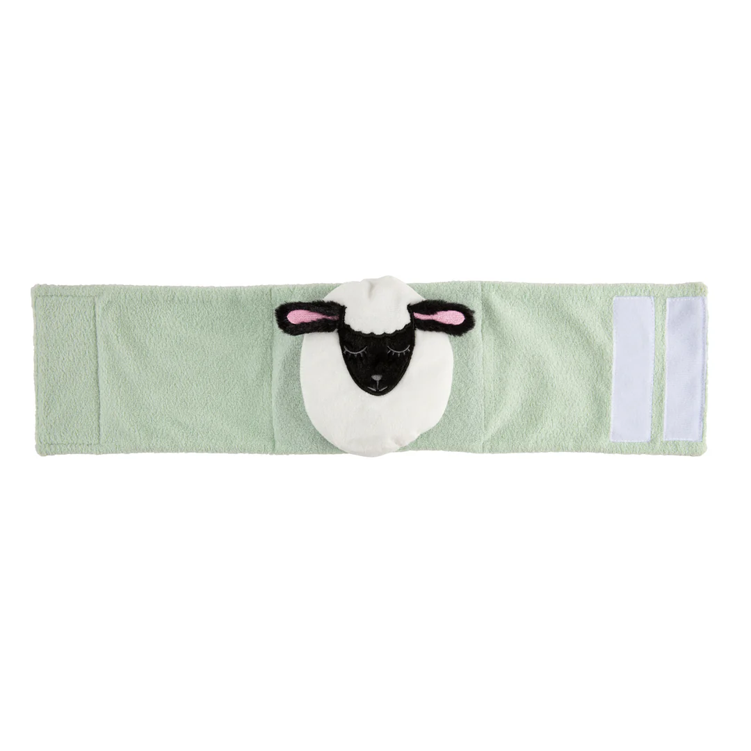 Ceinture de maintien pour nourrissons du Dr Brown- Mouton