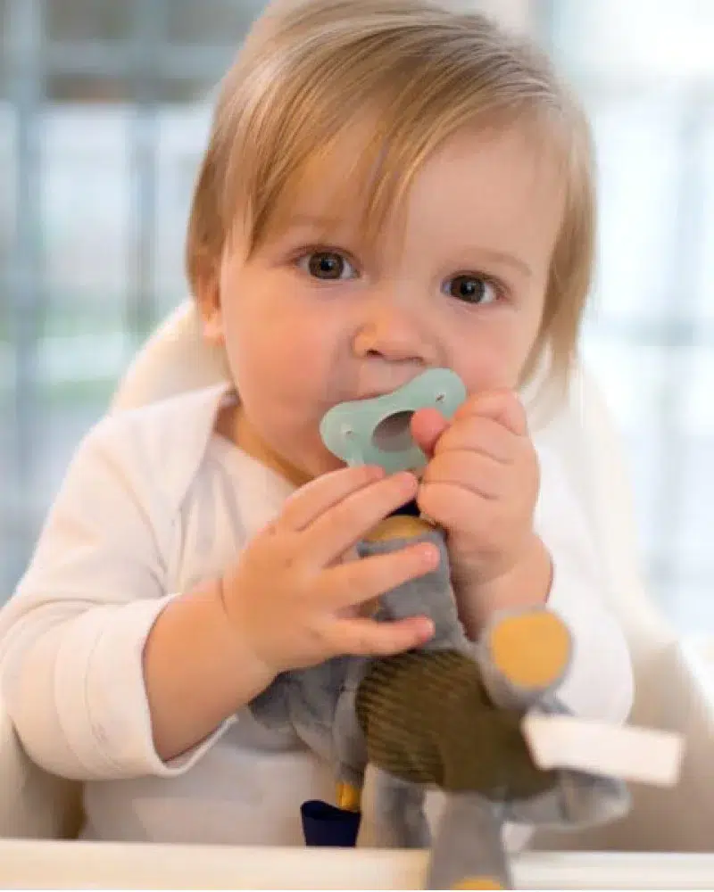 Dr Brown’s Doudou Nounours avec tétine en silicone