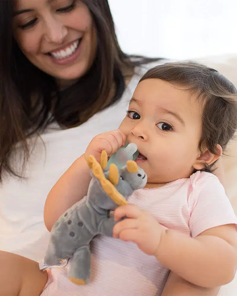 Dr Brown’s Doudou Nounours avec tétine en silicone