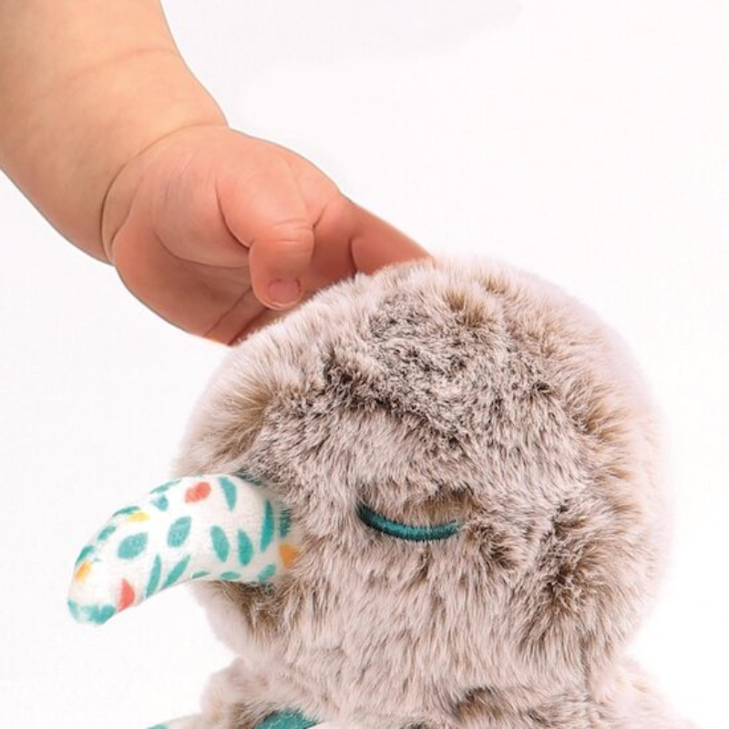 Ludi Peluche d'activités kiwi calin