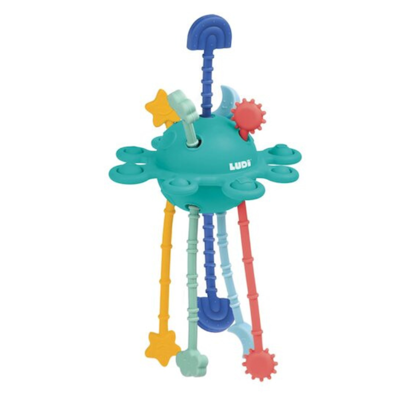 xx Ludi Zippy activité Multicolore