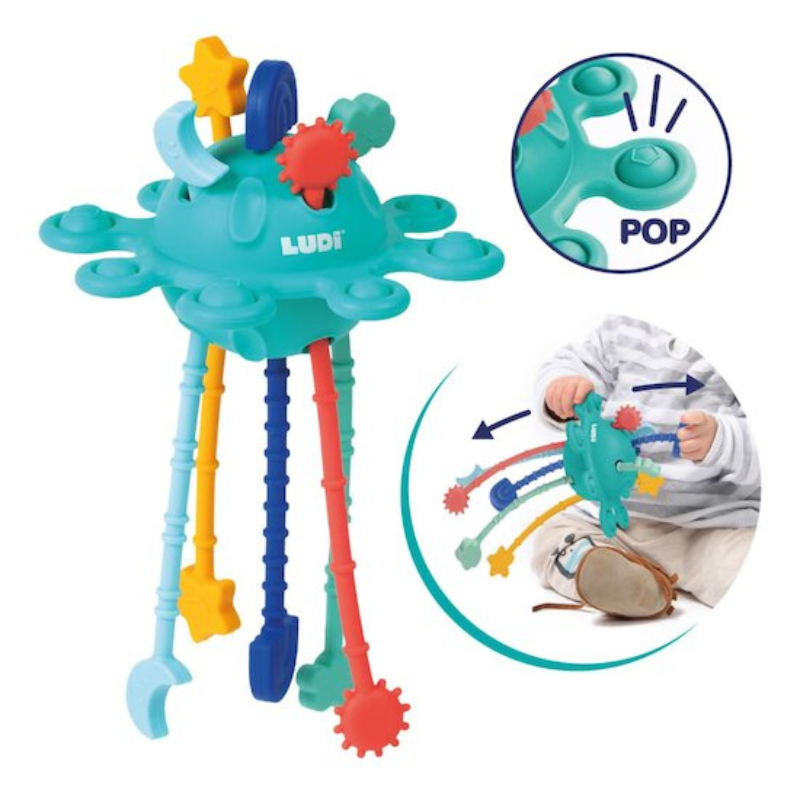 Ludi Zippy activité Multicolore