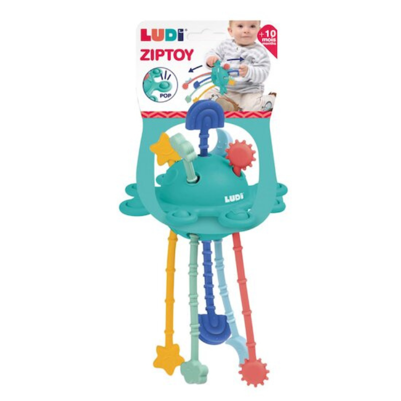 Ludi Zippy activité Multicolore