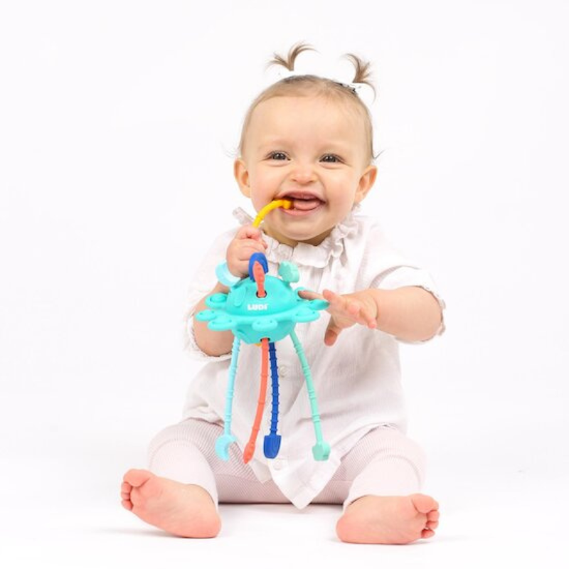 Ludi Zippy activité Multicolore