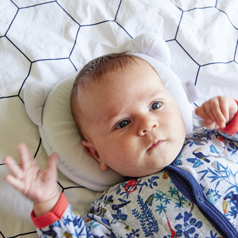 P'tit Panda Air - Gris - Candide Expert