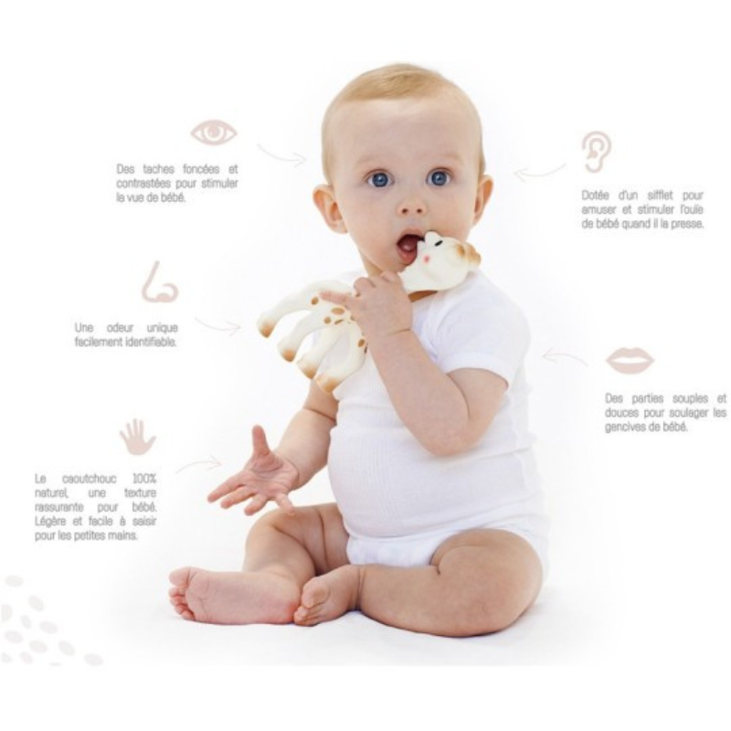 Sophie la girafe L’Originale – VULLI